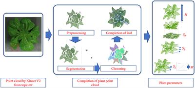 Growth parameter acquisition and geometric point cloud completion of lettuce